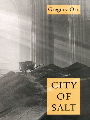 cover image of City of Salt
